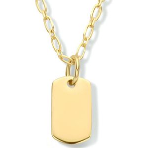 zilver verguld (geel) graveercollier 41 + 4 cm 2101793