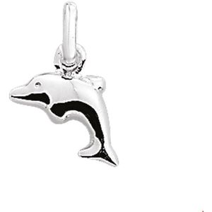 Zilveren Hanger dolfijn 1007958