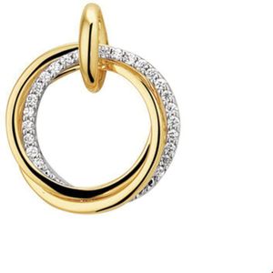 Bicolor Gouden Hanger diamant 0.12ct H SI 4207704