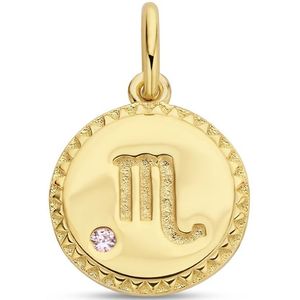 hanger sterrenbeeld zirkonia zilver verguld (geel) 2102522