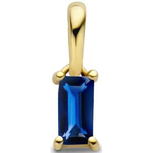 hanger met geboortesteen 14K geelgoud 4027200