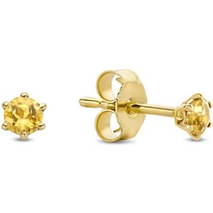 Jackie Gold - Citrine Studs JKE20.007 - Oorbellen