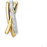 Bicolor Gouden Hanger diamant 0.076ct H SI 4206334