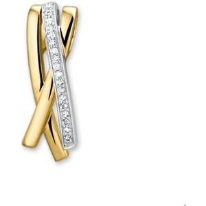 Bicolor Gouden Hanger diamant 0.076ct H SI 4206334