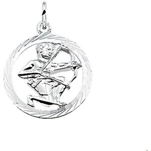 hanger sterrenbeeld gediamanteerd zilver wit 1002784