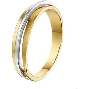 Bicolor Gouden Ring poli/mat 4207495 16.50 mm (52)