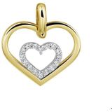Bicolor Gouden Hanger hart zirkonia 4207725
