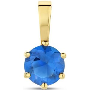 Hanger - 14K Geelgoud - Geboortesteen - Zirkonia