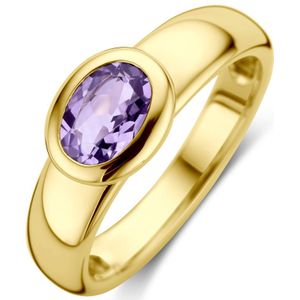 14K geelgoud ring amethist 4030166 17.50
