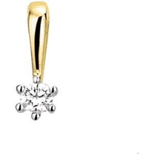 Bicolor Gouden Hanger diamant 0.05ct H SI 4208088
