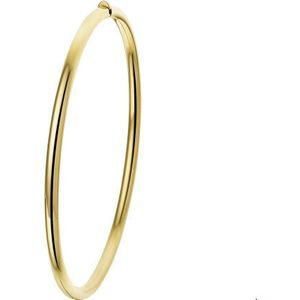 Geelgouden Bangle scharnier ovale buis 3 x 56 mm 4020572