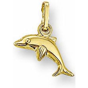 Gouden dolfijn hanger 4001727