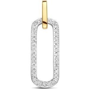 Bicolor Gouden Hanger diamant 0.09ct H SI 4208672