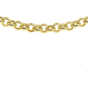 Geelgouden Collier jasseron 9 mm 45 cm 4018648 45 cm