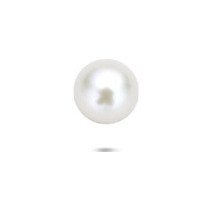 14K geelgoud flat back piercing parel 3,5 mm 4034270