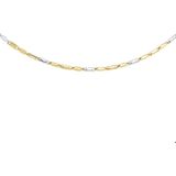 Bicolor Gouden Collier 1 4207935