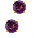 Geelgouden Oorknoppen amethyst 4010292