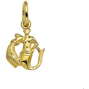 hanger sterrenbeeld 14K geelgoud 4006449