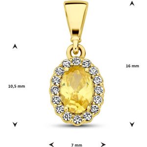 hanger met geboortesteen zirkonia 14K geelgoud 4029811
