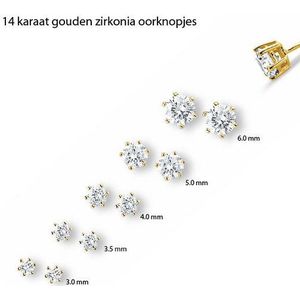 oorknoppen zirkonia 14K geelgoud 4010154