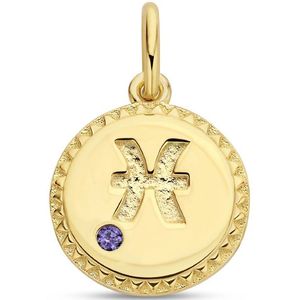 hanger sterrenbeeld zirkonia zilver verguld (geel) 2102534