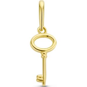 goud (geelgoud) hanger sleutel 4025836