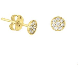 oorknoppen zirkonia 14K geelgoud 4017694