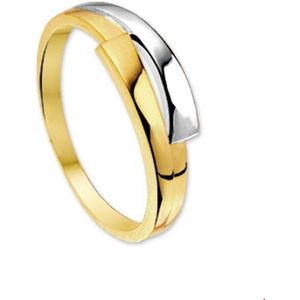 Bicolor Gouden Ring 4205427 17.50 mm (55)