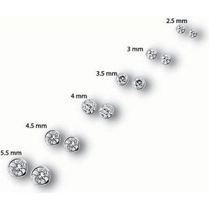 oorknoppen zirkonia zilver gerhodineerd 1307105