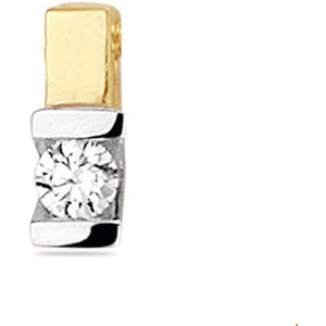 Bicolor Gouden Hanger diamant 0.075ct H SI 4208018