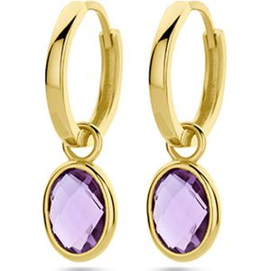 14K geelgoud klapoorringen amethist 4029513