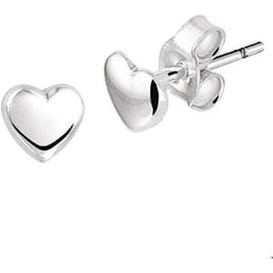 Zilveren Oorknoppen hart 1002912