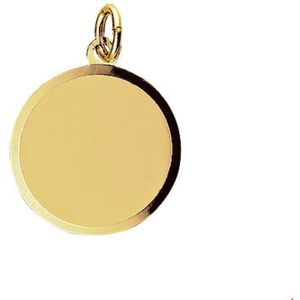 hanger gediamanteerd 14K geelgoud 4006621