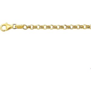 Geelgouden Collier jasseron 3 4004134 45 cm