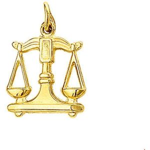 hanger sterrenbeeld 14K geelgoud 4006502