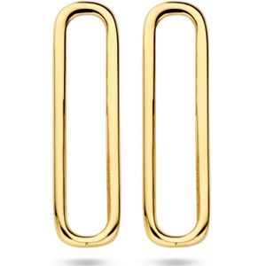 zilver verguld (geel) oorknoppen paperclip 1 micron 2103196