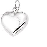 Zilveren Hanger hart 1004882