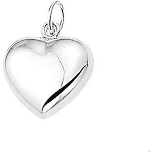 Zilveren Hanger hart 1004882