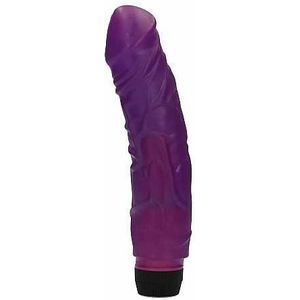 Perfect Pleasure multi-speed Vibrator - 22 cm- Purple