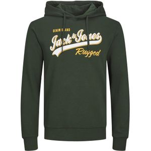 Jack & Jones regular fit hoodie groen