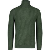 Cavallaro coltrui groen effen knitwear