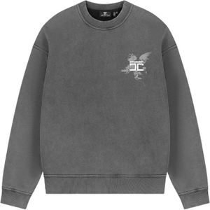 JorCustom Above All Fleece Crewneck Sweater - Acid Grey XS
