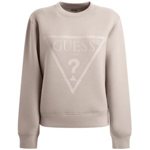 Guess Elly Sweater - Posh Taupe S