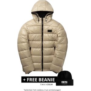 Ab Lifestyle Shiny Puffer - Fog