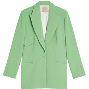 Josh V Mimi Blazer - Pastel Green