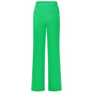 Nikkie Rafi Pants - Fern Green 32