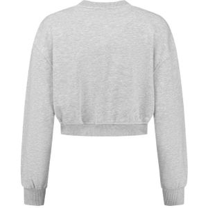 Nikkie Ames Sweatshirt - Light Grey Melange 40
