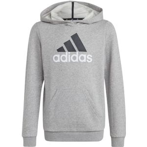 Adidas Originele U Bl 2 Hoodie - Maat 7-8J / 122-128cm