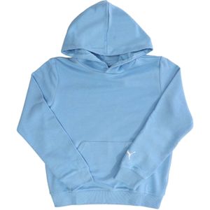 Puma Kinder/Kinder Fanwear Hoodie (Blauw)