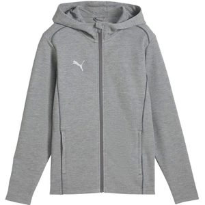 Puma Heren TeamFINAL Casuals Hooded Jacket (Grijs)